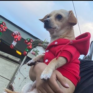 Meet your Posher, Sergio